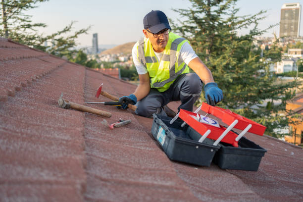 Best Fiber Cement Siding Installation  in Harwich Port, MA